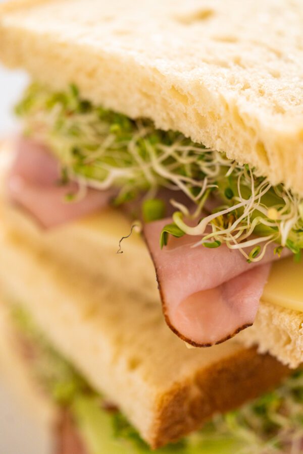 Sandwich Jambon